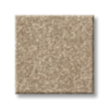 Shaw Flushing Bay Rye Texture Carpet with Pet Perfect-Sample